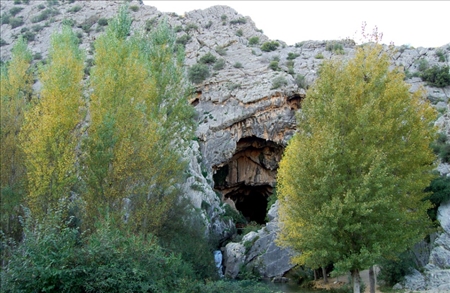 cueva de gato.jpg