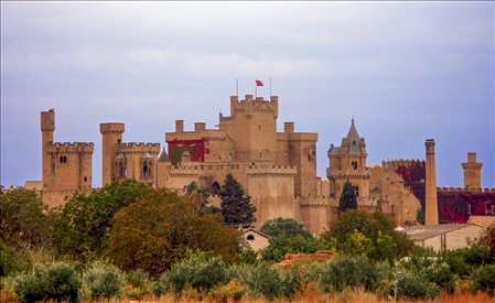 palacio_de_olite (1).jpg