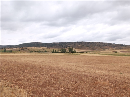 palazuelos.jpg