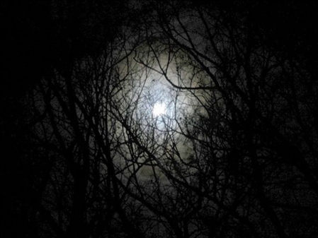 rayo de luna.jpg
